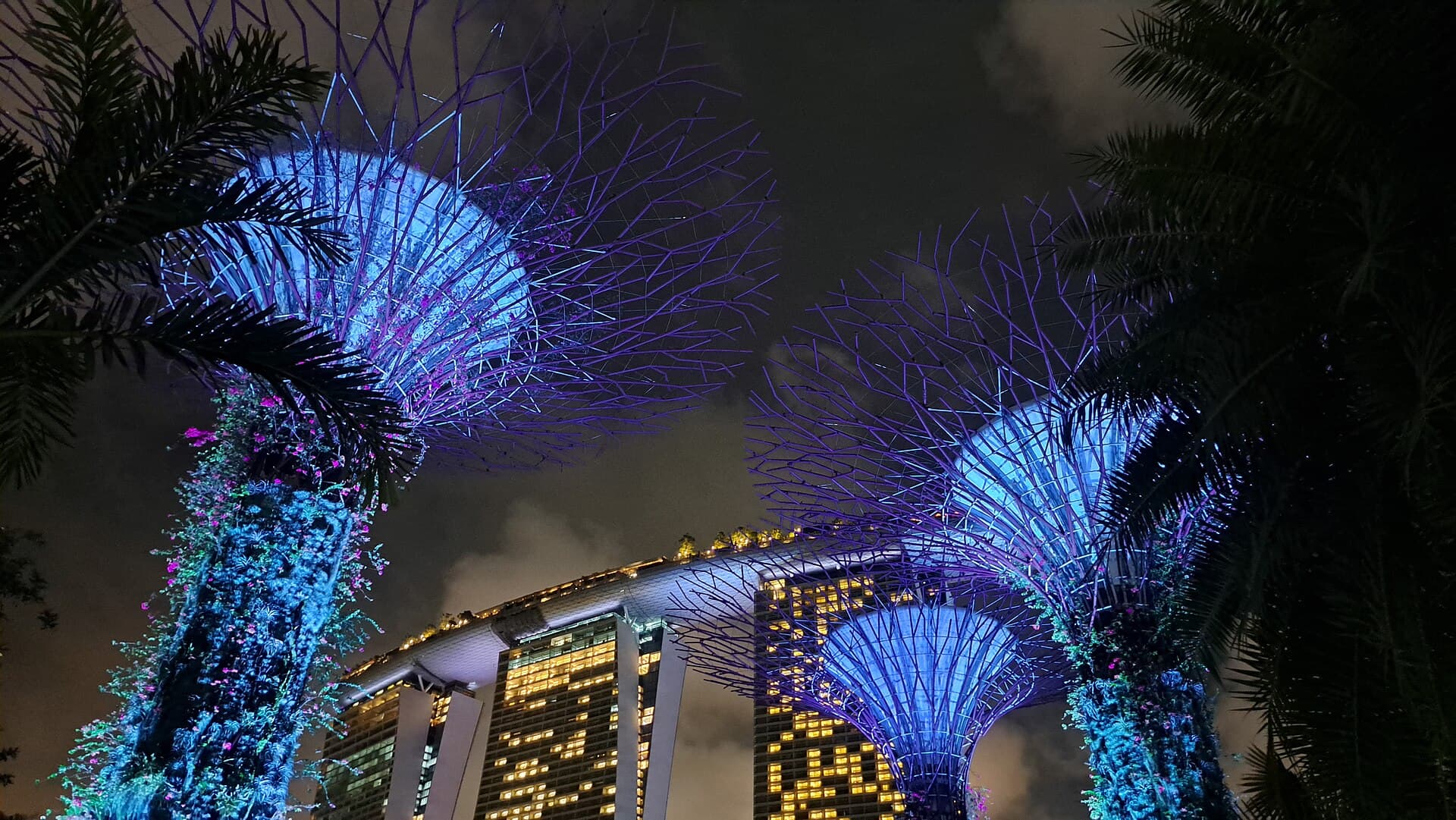 Supertree Grove at Gardens by the Bay, Singapore, at night